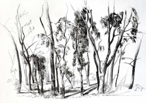 Парк на Бановом брду